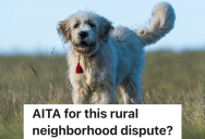 Homeowner Is Appointed HOA President, So The Former HOA President Decides To Complain About The New President’s Dog