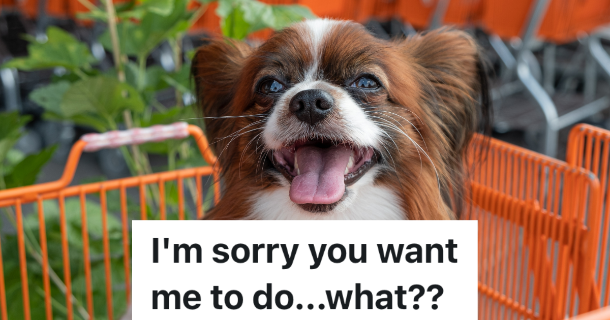 papillon dog in a shopping cart