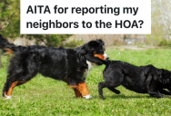 New Neighbors Don’t Pick Up After Their Dogs, So These Homeowners Report Them To The HOA And Consider Building A New Fence
