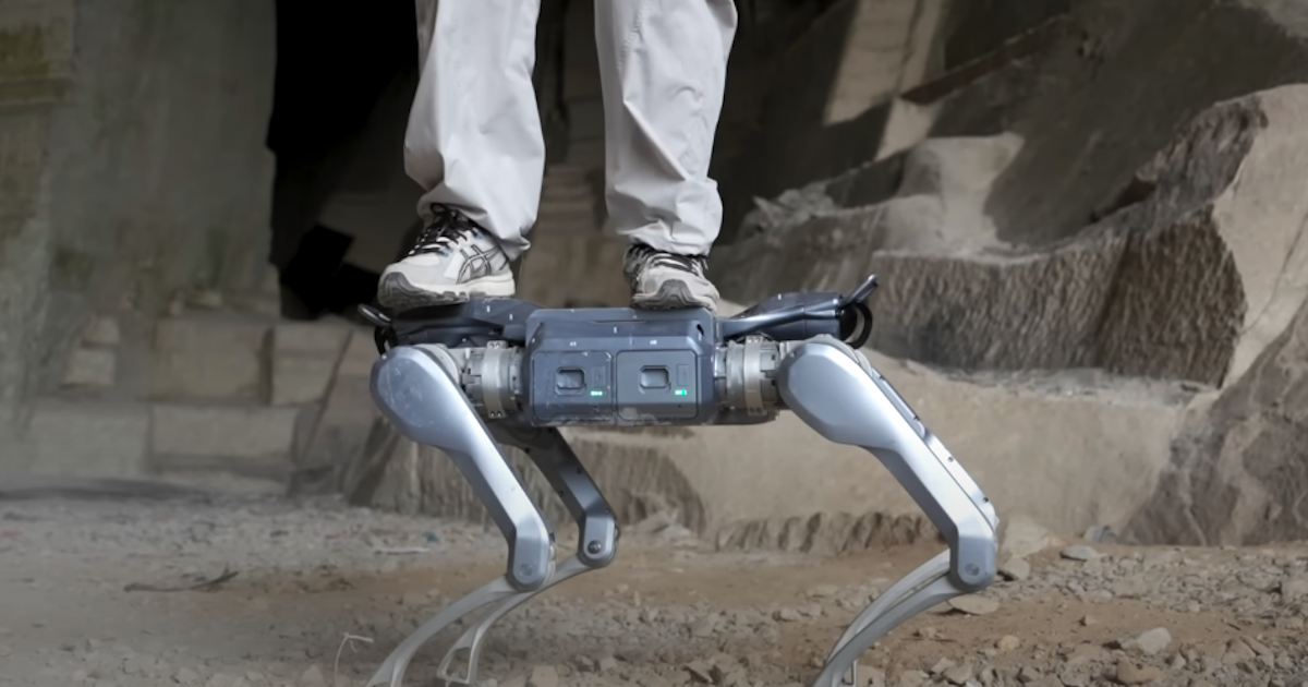 Unitree Dog Standing Strength