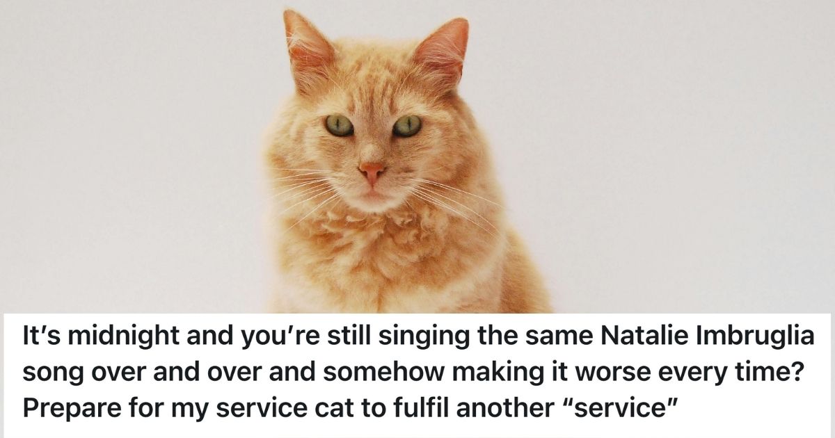 Orange cat staring angrily into the camera