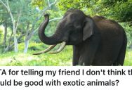 His Friend Wants To Get Wild Animals As Pets, So He Tells Him He’d Be Unfit For That Responsibility – And Brings Receipts