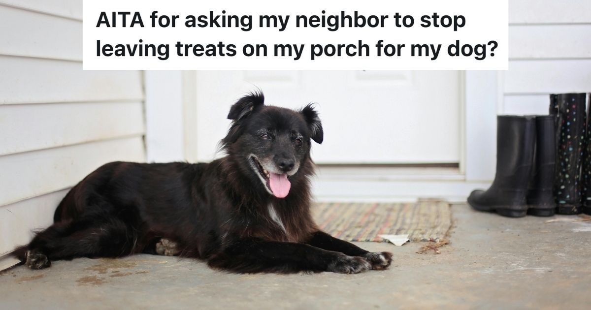 Black dog smiling on a porch