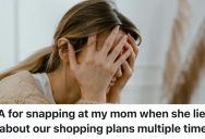 Daughter Barked At Her Mom For Lying About When They Would Go Grocery Shopping, Because Now It’s Too Late And They Have No Dinner