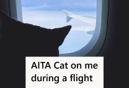 Woman Was Napping On A Plane, But When She Woke Up With A Cat Sitting On Her Lap, She Called Out The Owner And Asked For A New Seat