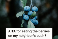 Homeowners Picked Berries Growing From Their Neighbor’s Overgrown Bush, So It Sparked HOA Threats And A Public Facebook Meltdown