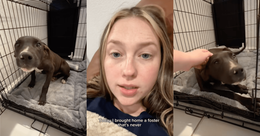 woman with a foster dog