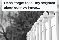 Murmuration of Starlings Forms Giant Bird