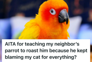 A Tenant Endured Months Of Her Neighbor Blaming Her Cat For Everything, So She Trained A Neighbor’s Parrot To Roast Him