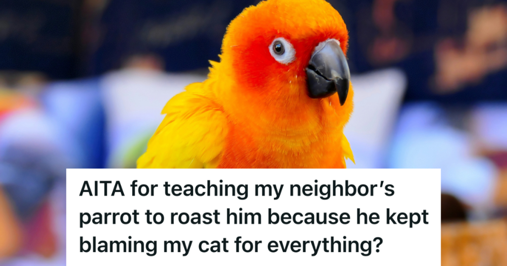 brightly colored orange bird