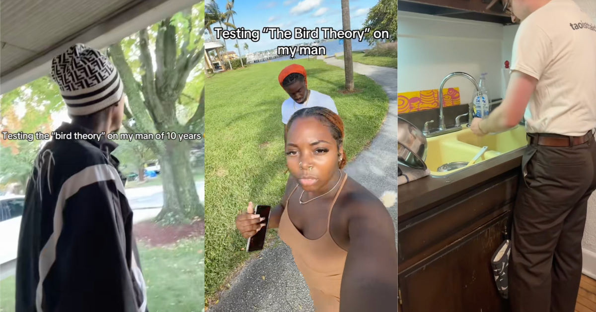 people talking about the bird theory