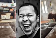 Pet Owner Shows Us A Hilariously Tense Standoff Between Their Cat And Dog