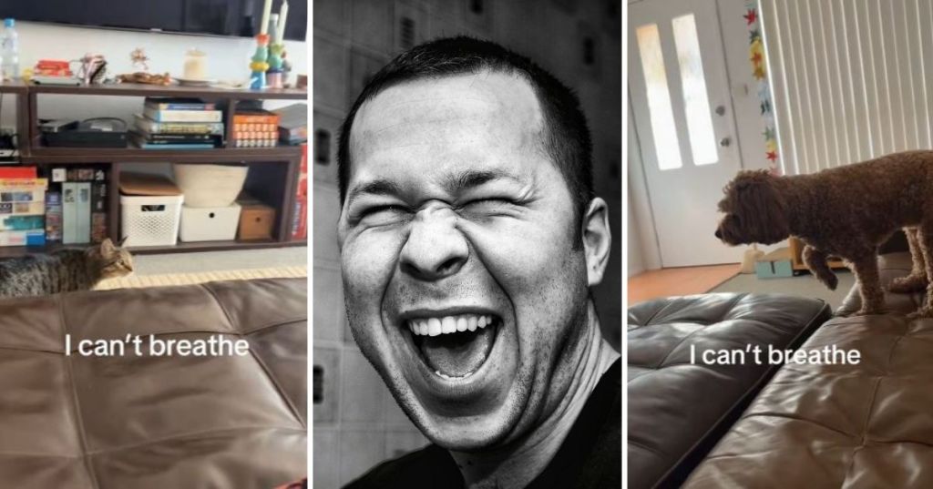 Man laughing at cat and dog