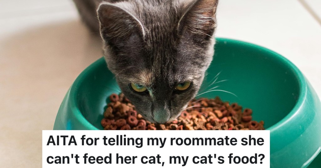 cat eating food out of a green bowl