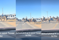 ‘West Texas be like.’ – A Parade Of Horses Stormed Across The Road In Front Of A School Pickup