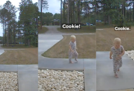 A Ring Doorbell Captured The Adorable Moment A Little Boy Ran Up To His Grandparents’ House Asking For A Cookie