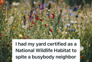 Homeowner Got Fed Up With Their Neighbor’s Repeated Complaints About Their Unconventional Yard, So They Turned Their Property Into A Certified Wildlife Habitat