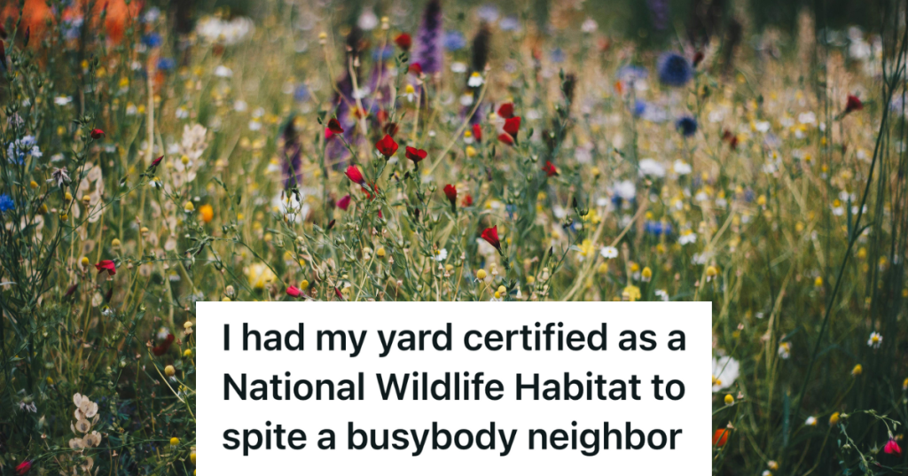 colorful wildflowers growing