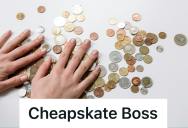 Employee Got Tired Of Covering For Her Stingy Boss, So When Boss Demanded Exact Change For A Pizza Party, The Employee Made Her Count A Mountain Of Pennies