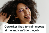 Employee Was Forced To Carry A Meowing Coworker Through Every Task, So When Management Blamed Her For The “Personality Clash,” She Contemplated Quitting The Job