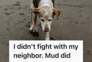 Homeowner Watched A Rude Neighbor’s Dog Destroy The Garden, So A Muddy Lesson Was Set In Motion