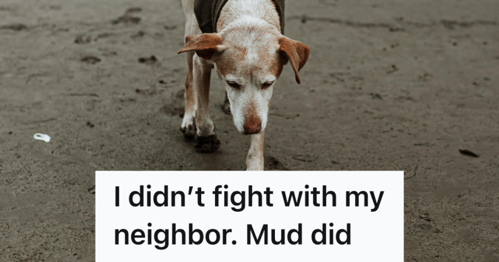 dog stepping in mud
