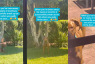 A Dog Got A Nice Surprise When His Owner Came Home After Being Away For Two Months