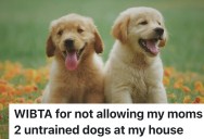 A Woman Invited Her Mother To Visit For Christmas, But When Her Mom Announced She Was Bringing Two Untrained Dogs Without Asking, She Drew A Firm Boundary
