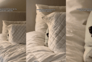 ‘Searching around the house for my dog and then I spot this…’ – An Owner Found Her Dog Hiding In An Unusual Place