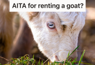 Homeowner Was Tired Of The HOA Pestering Him About Uncut Grass, But When He Hired A Goat To Do The Job, His Wife Accused Him Of Making Them Look Like Hicks