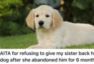 Her Sister Asked Her To Watch Her Dog for Two Weeks, But Then She Disappeared For Six Months Before Asking For Him Back