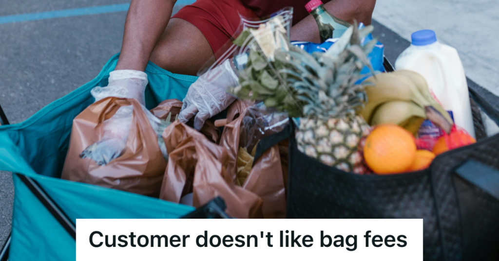 groceries in bags