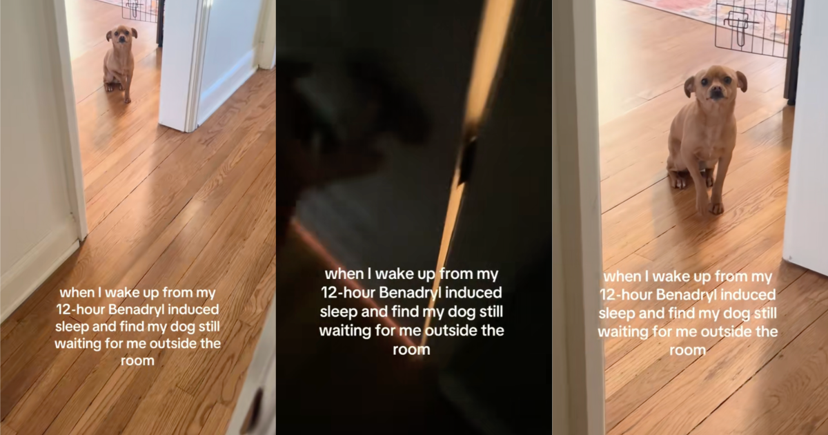 A Sick Woman Slept For 12 Hours And Then Found Her Dog Waiting Patiently Outside Her Bedroom Door dog waiting for its owner