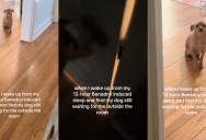 A Sick Woman Slept For 12 Hours And Then Found Her Dog Waiting Patiently Outside Her Bedroom Door