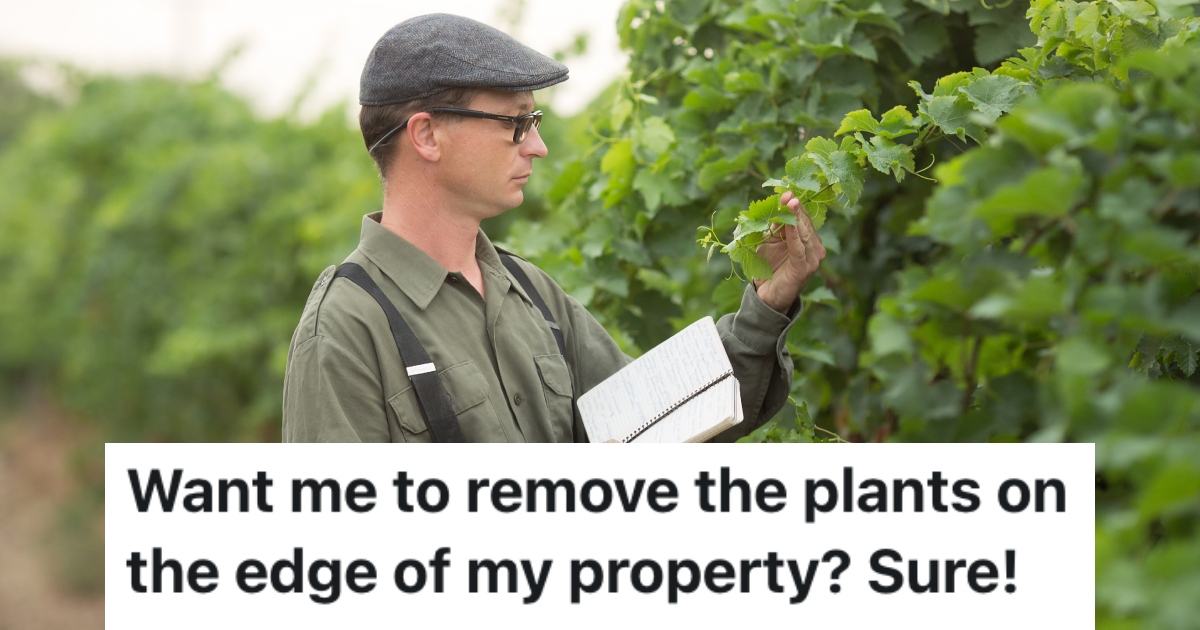 man looking at plants