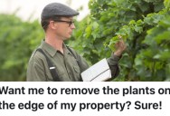 Neighbors Demanded A Surveyor Look At Their Property Lines, But Then They Lost A Row Of Vines To The Other Homeowner
