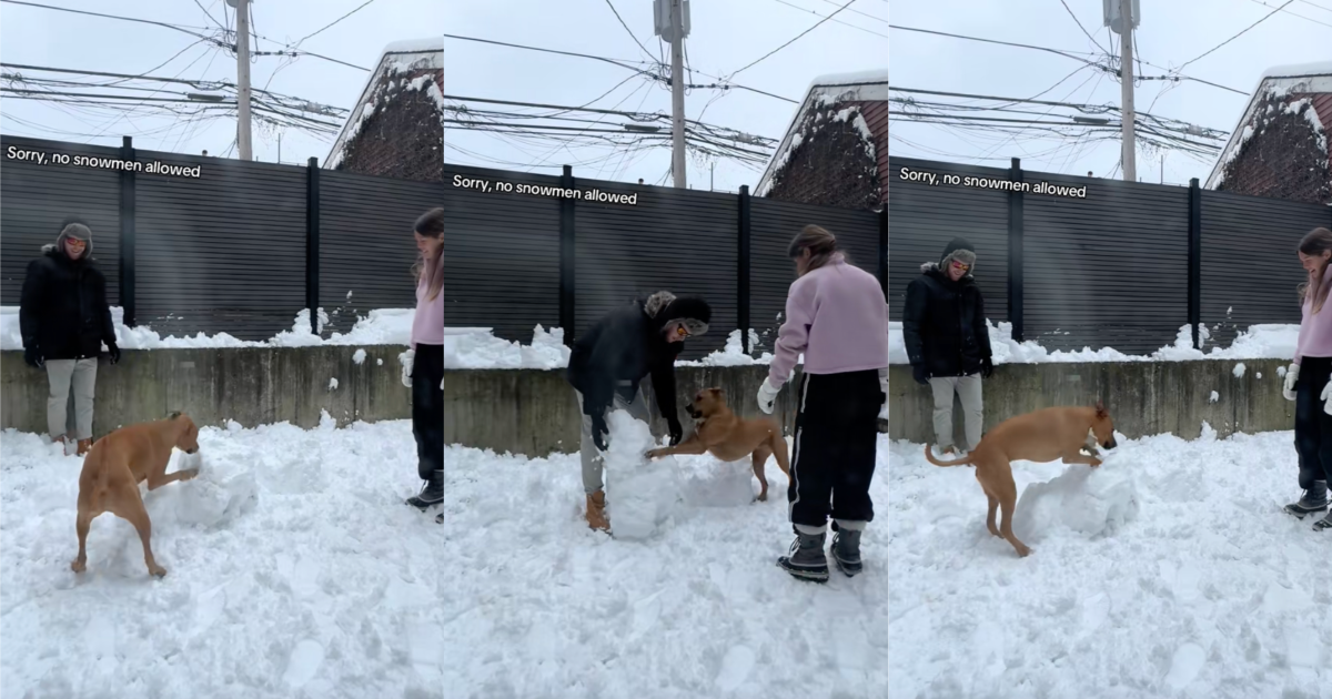couple making a snowman