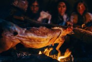 Evidence Shows Ancient Ancestors Of Humans Began Eating Meat As A Source Of Calories Far Earlier Than Previously Thought