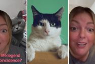 Have You Heard Of The Japanese Missing Cat Theory? This TikToker Used It And Got Her Missing Cat Back In 10 Minutes Flat!