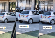 A Passerby Saw A Sheep Was Waiting In A Car For Its Owners. – ‘Better be getting a pup cup!’