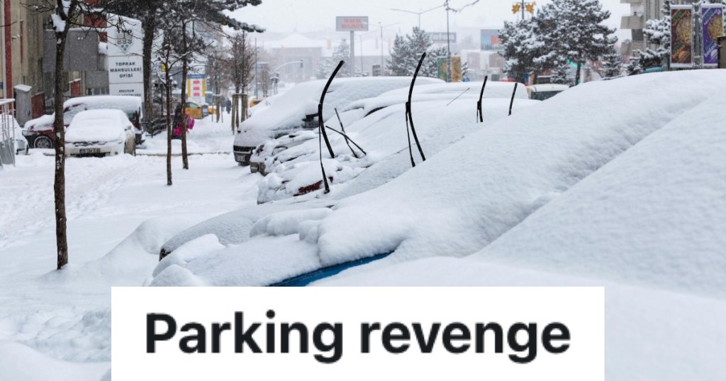 cars covered in snow