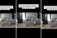 When You Leave A New Puppy Home Alone You Never Know What They Will Get Into, But This Little Guy Just Wanted To Get Comfortable