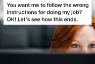 Employee Was Disciplined By HR Over A Process Instruction She Never Approved, So Obeying Completely Revealed An Engineer’s Sloppy Work