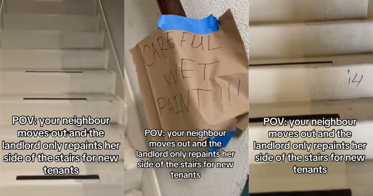 A Landlord Only Painted One Half Of A Stairway When A Tenant Moved Out Of A Building. I wish I was joking, but its been a week. paint on a set of stairs