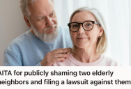 Apartment Resident Watched Two Elderly Neighbors Hijack The Building Council Vote, So He Filed A Lawsuit And Challenged Their Shameless Power Grab
