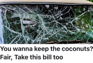 A Coconut Tree Keeps Dropping Fruit From A Neighbor’s Property, So They Had To Pay Insurance Money When A Car Owner’s Windshield Was Smashed