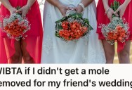Bridesmaid Is Committed To Helping Her Friend Have The Best Wedding Possible. But The Entitled Bride Just Made An Unhinged Request That’s Making The Bridesmaid Question Everything