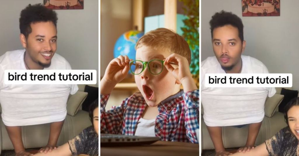 Bird trend tutorial