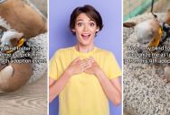 This Elderly Blind Dog Immediately Recognized Its Foster Parent, Quickly Causing The Hearts Of Everyone On The Internet To Melt