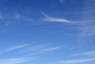 Scheerer’s Phenomenon Is When You See Fast Moving Dots In Your Vision While Looking At The Bright Blue Sky